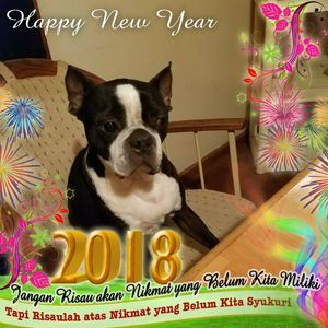 Meet your Posher, Betty